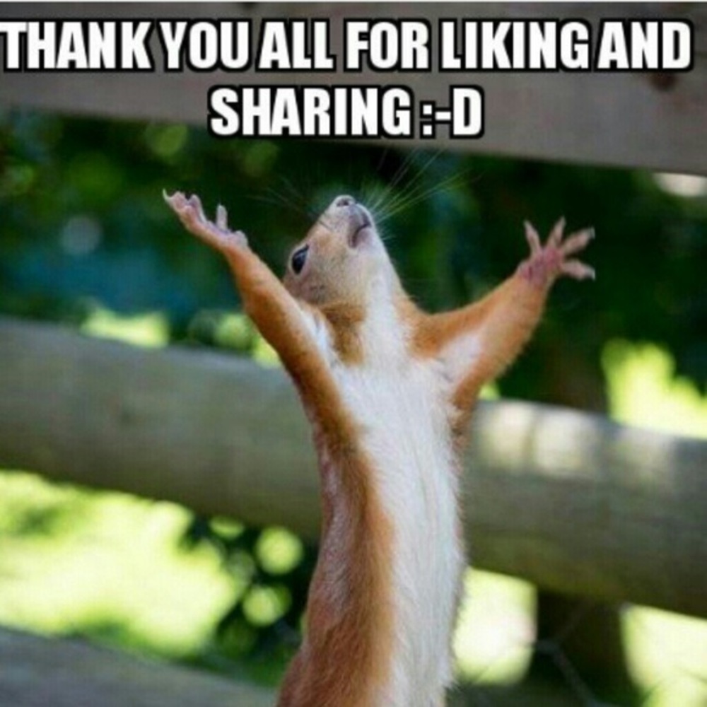 Thank You Fellow Poshers!